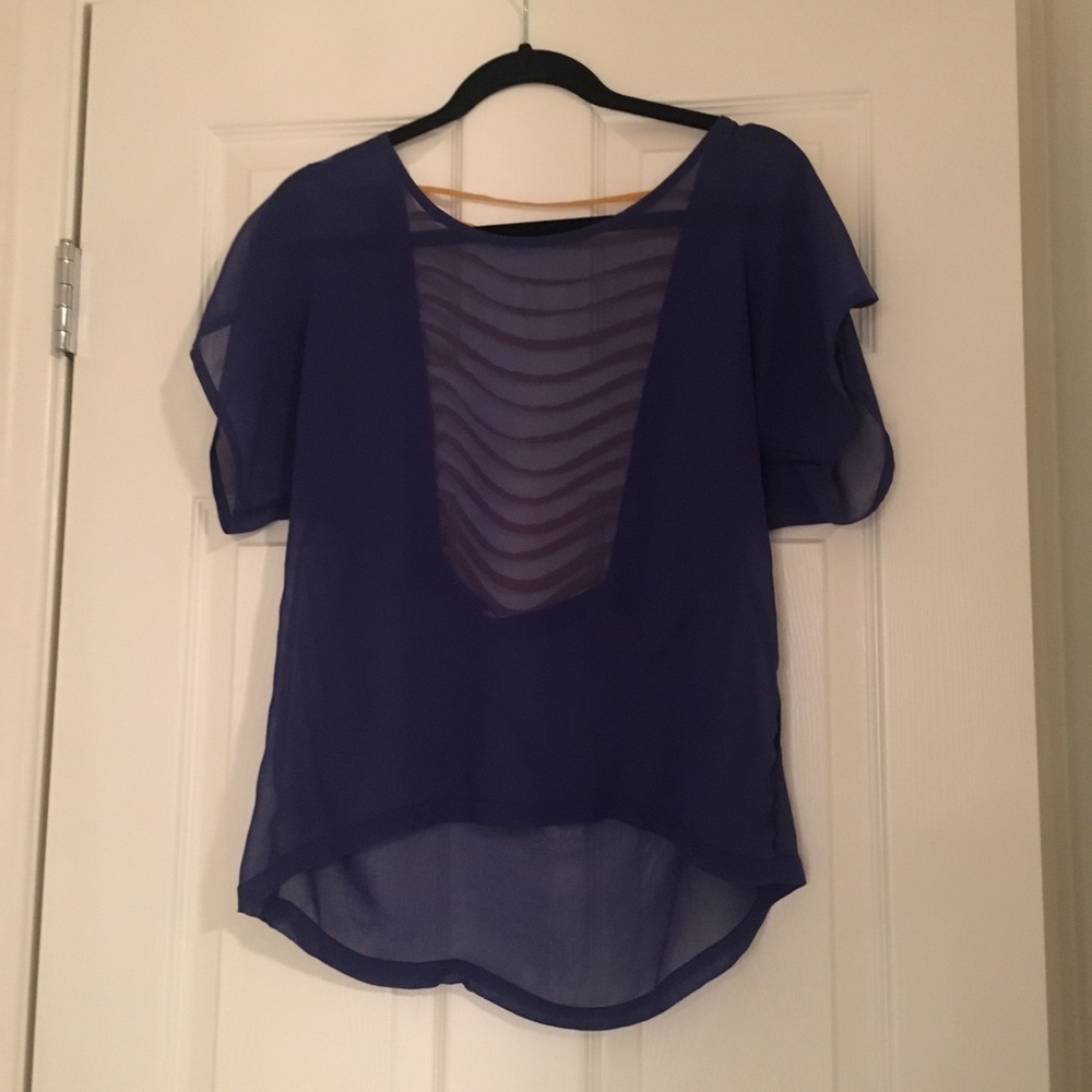 Blue sheer blouse with open back.